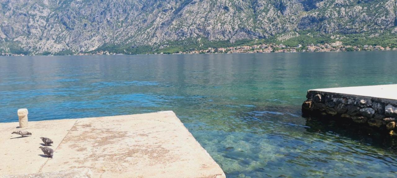 Apartman Katarina Kotor Dış mekan fotoğraf