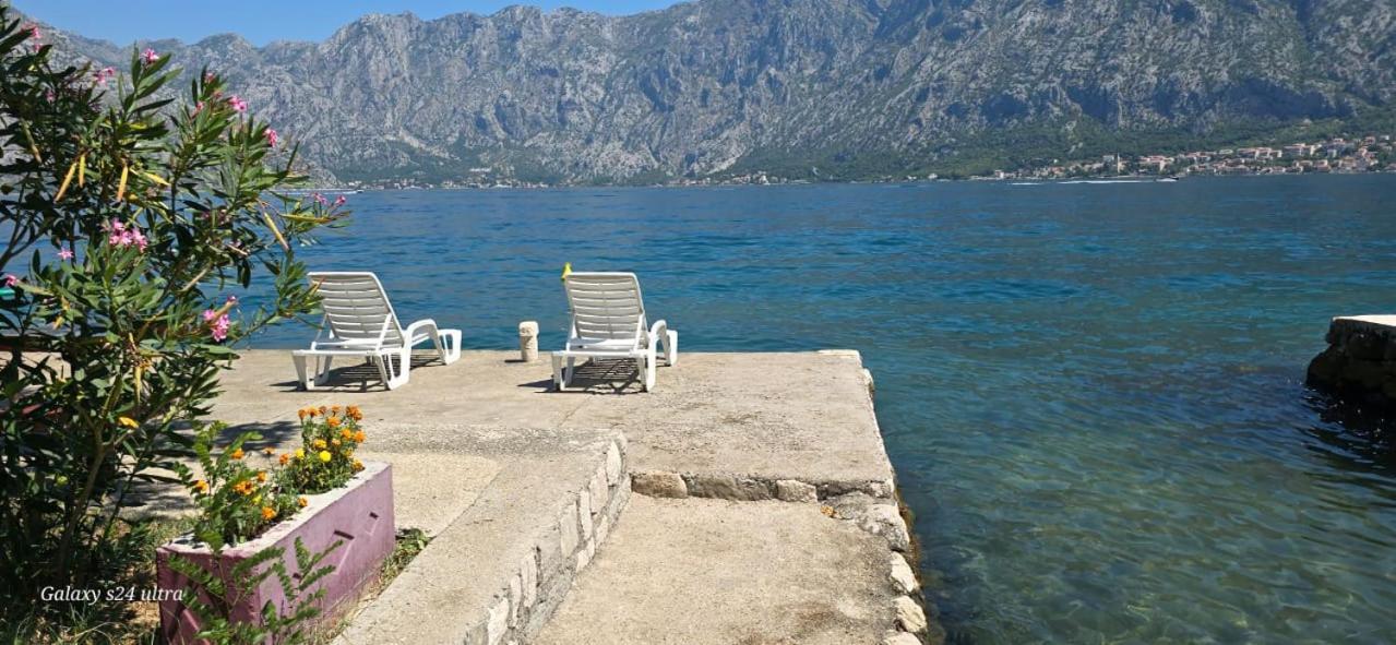 Apartman Katarina Kotor Dış mekan fotoğraf